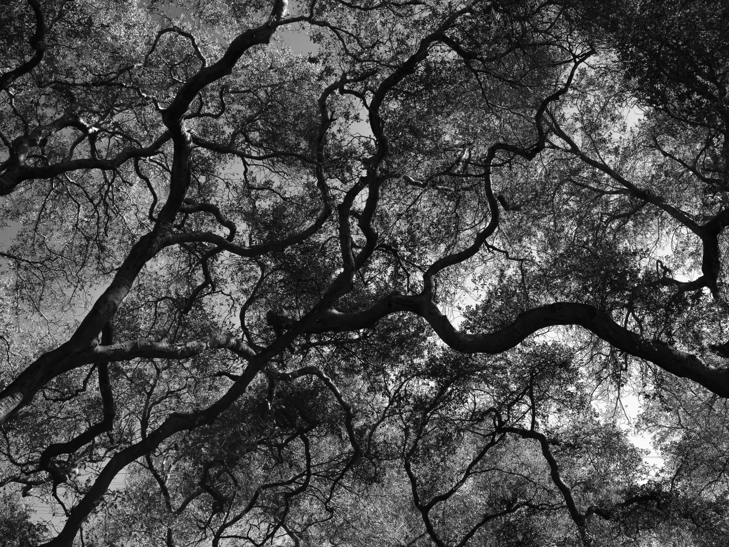 Abstracts — Plate 08