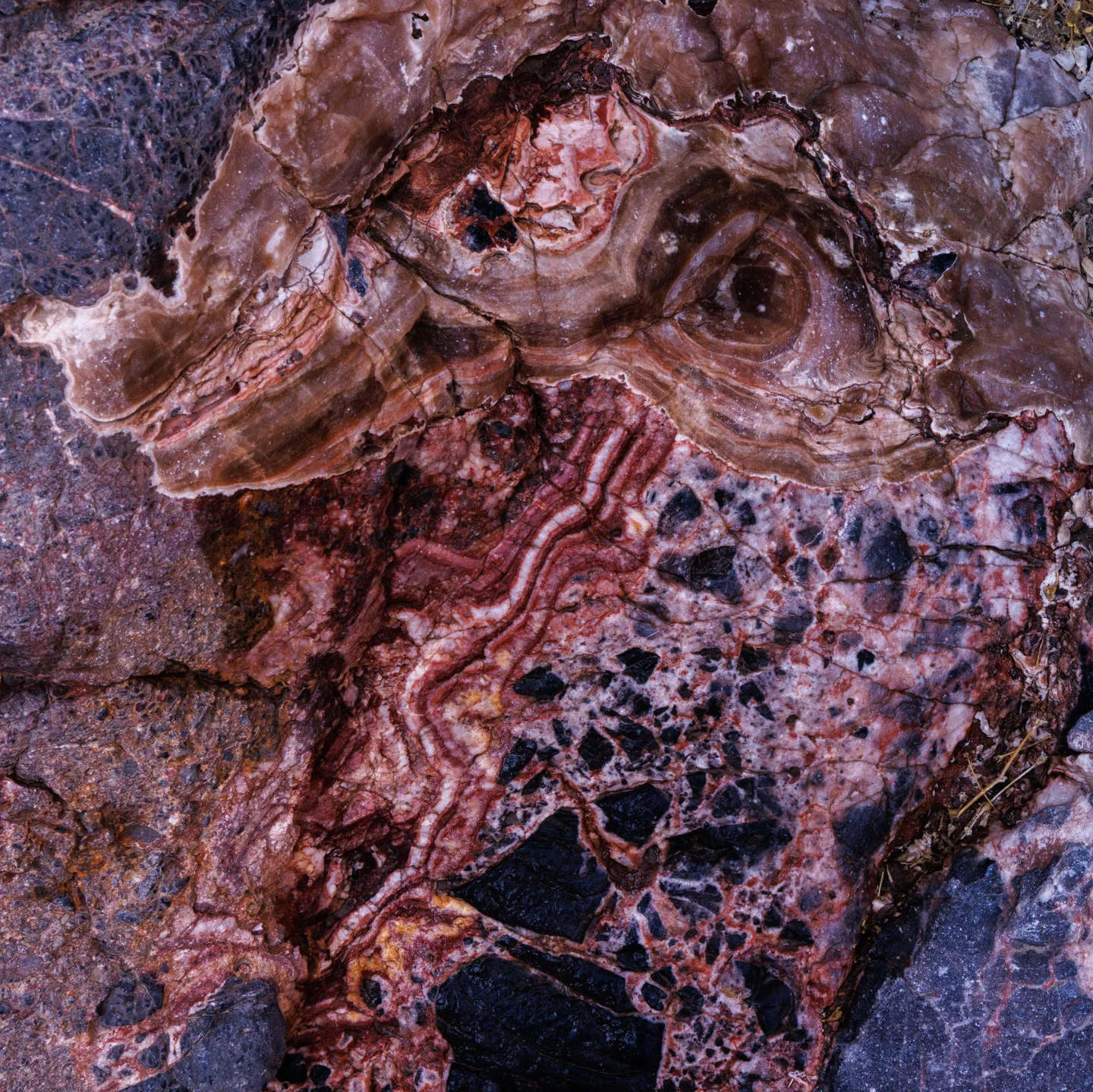 Abstracts — Plate 05