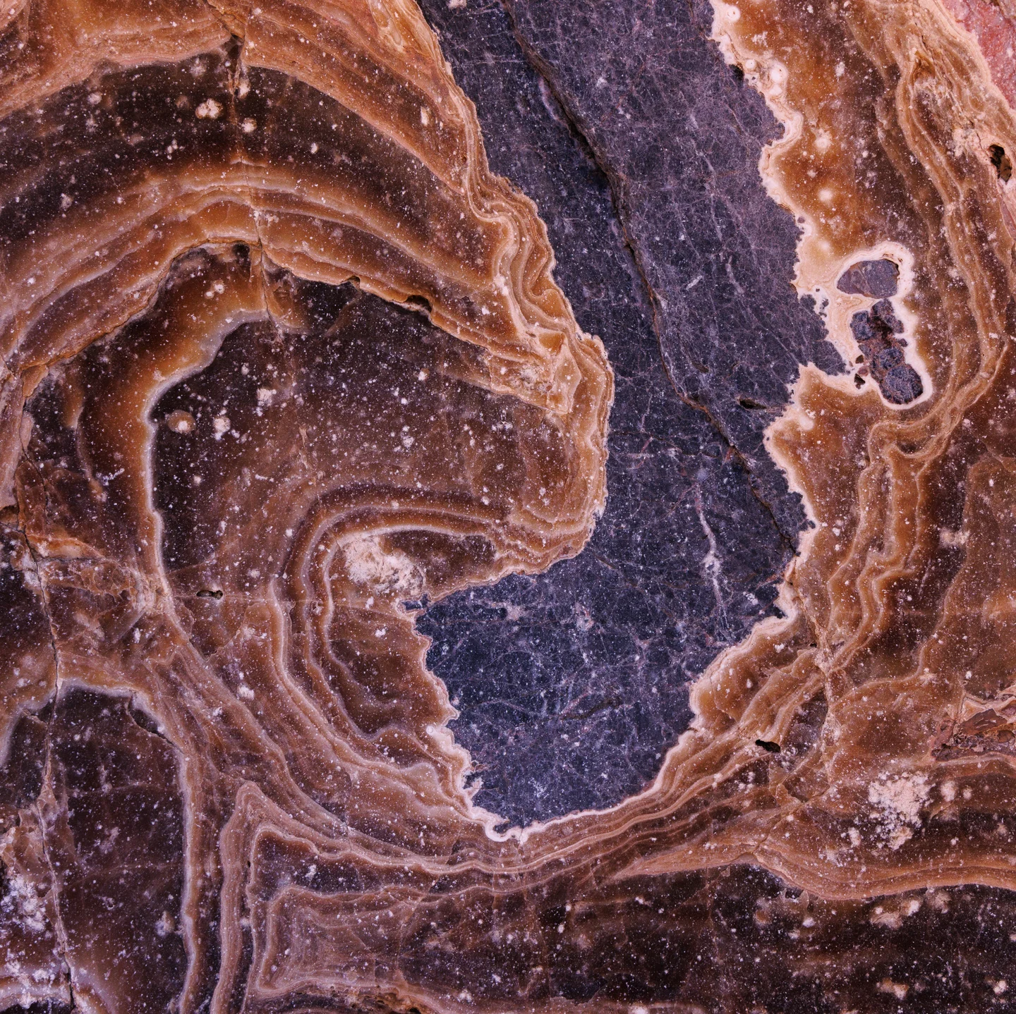 Abstracts — Plate 12