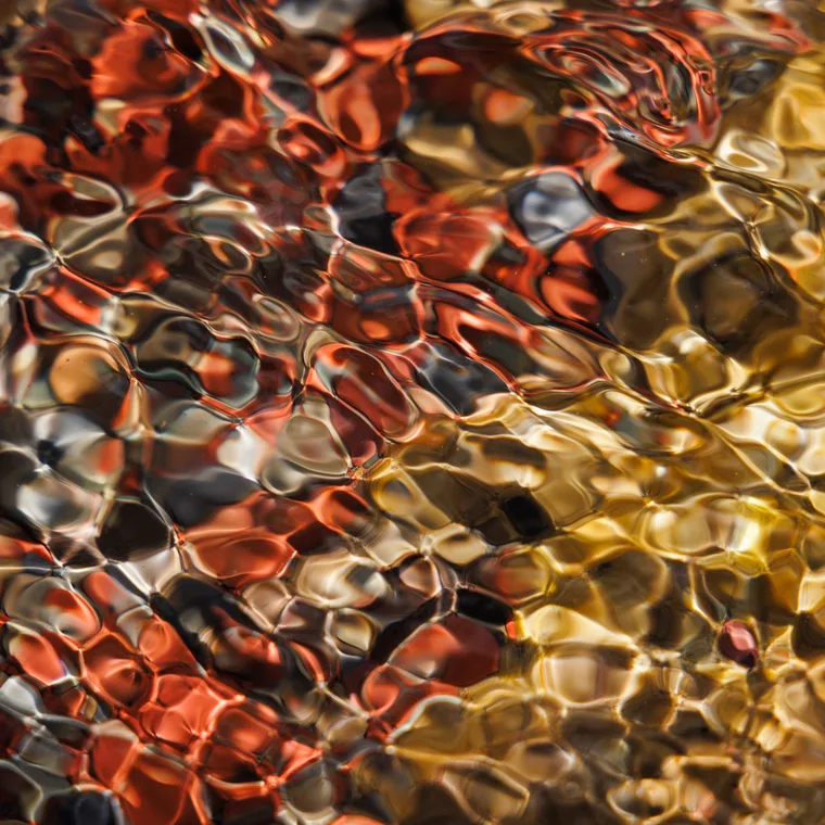 Abstracts preview