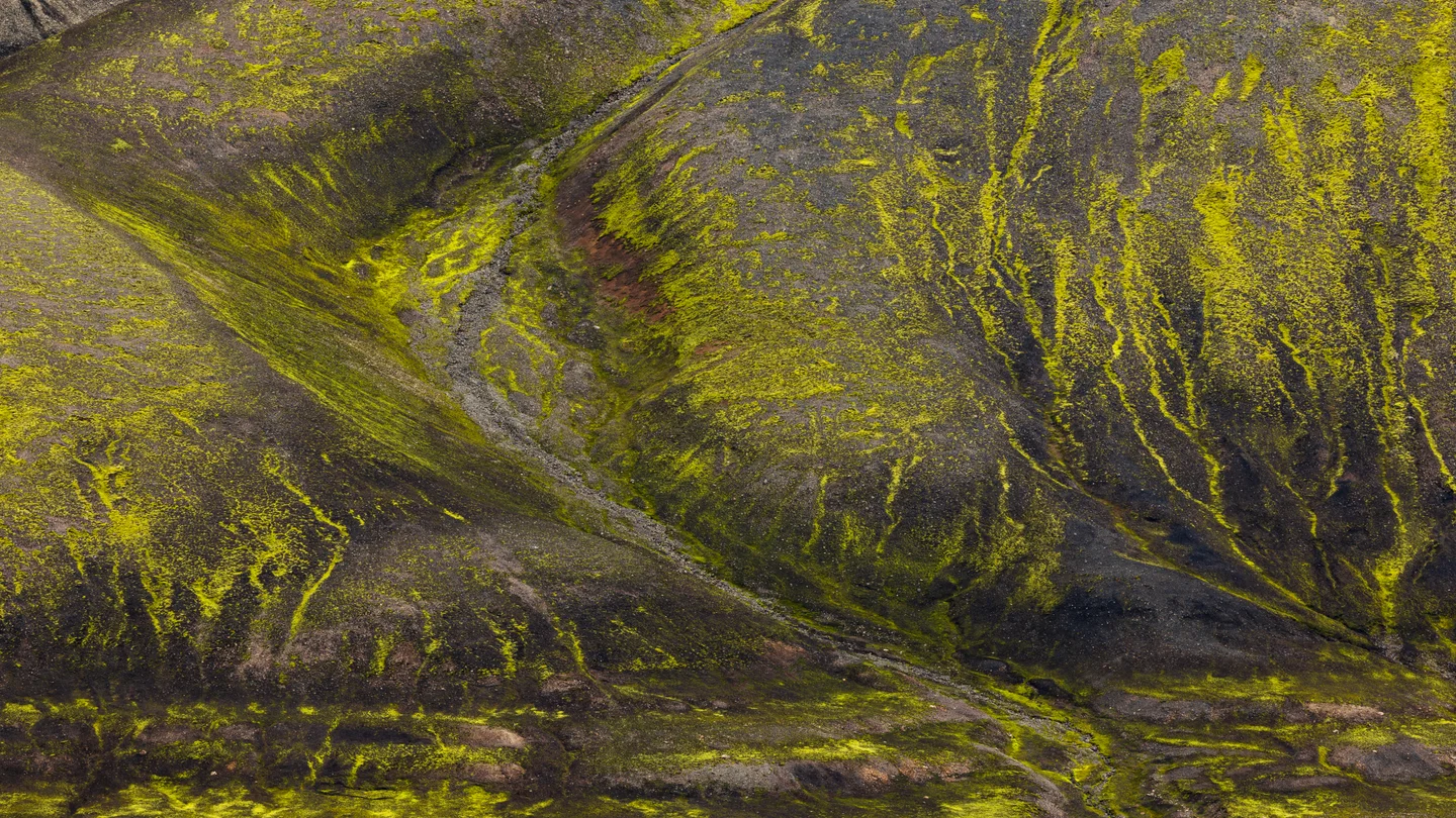 Abstracts — Plate 06