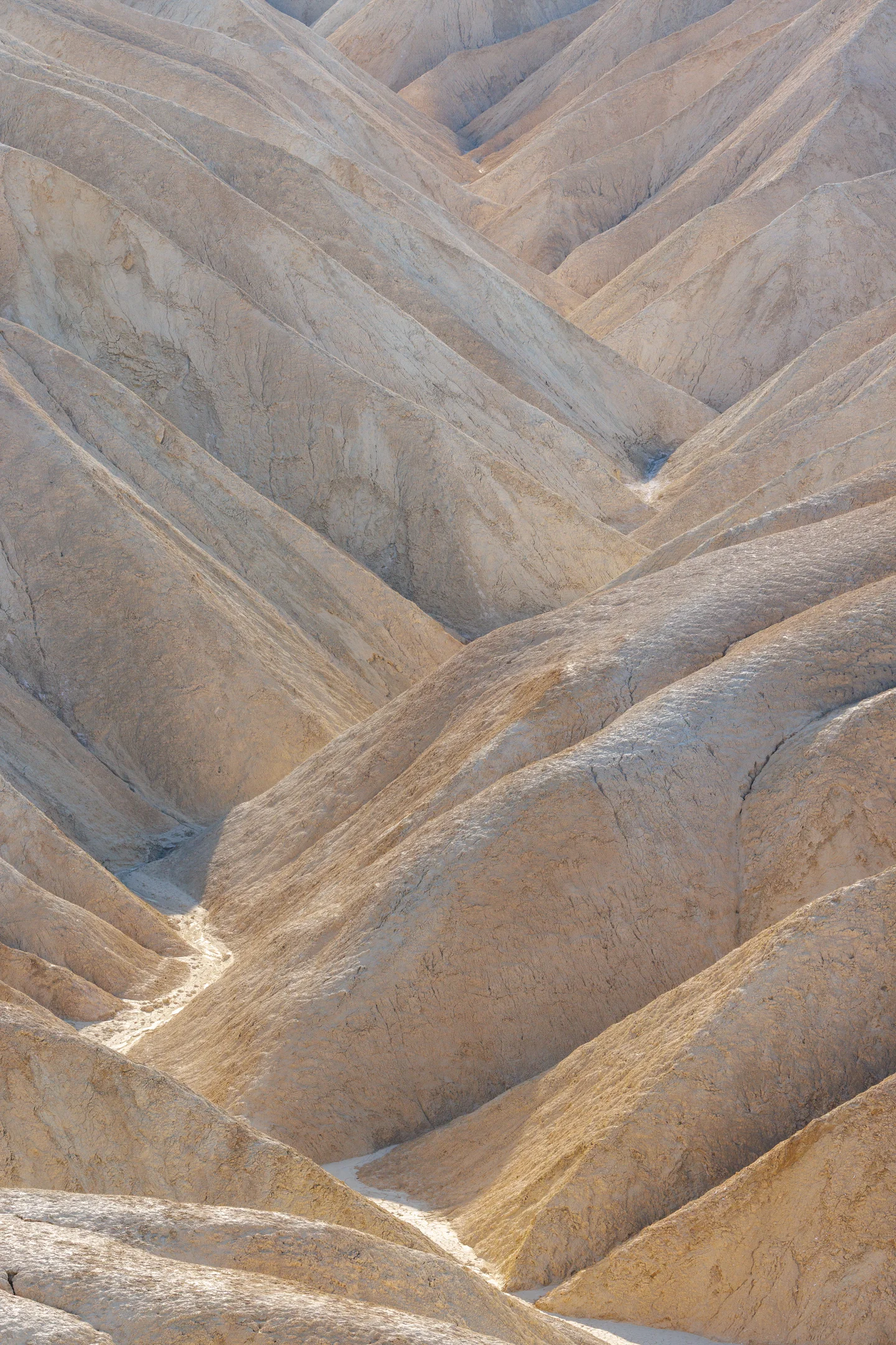 Death Valley Badlands — Plate 03
