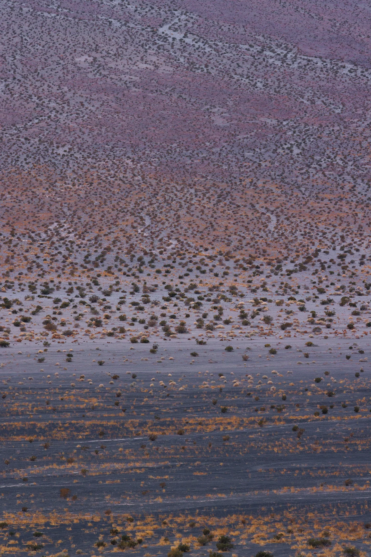 Death Valley Landscapes — Plate 10