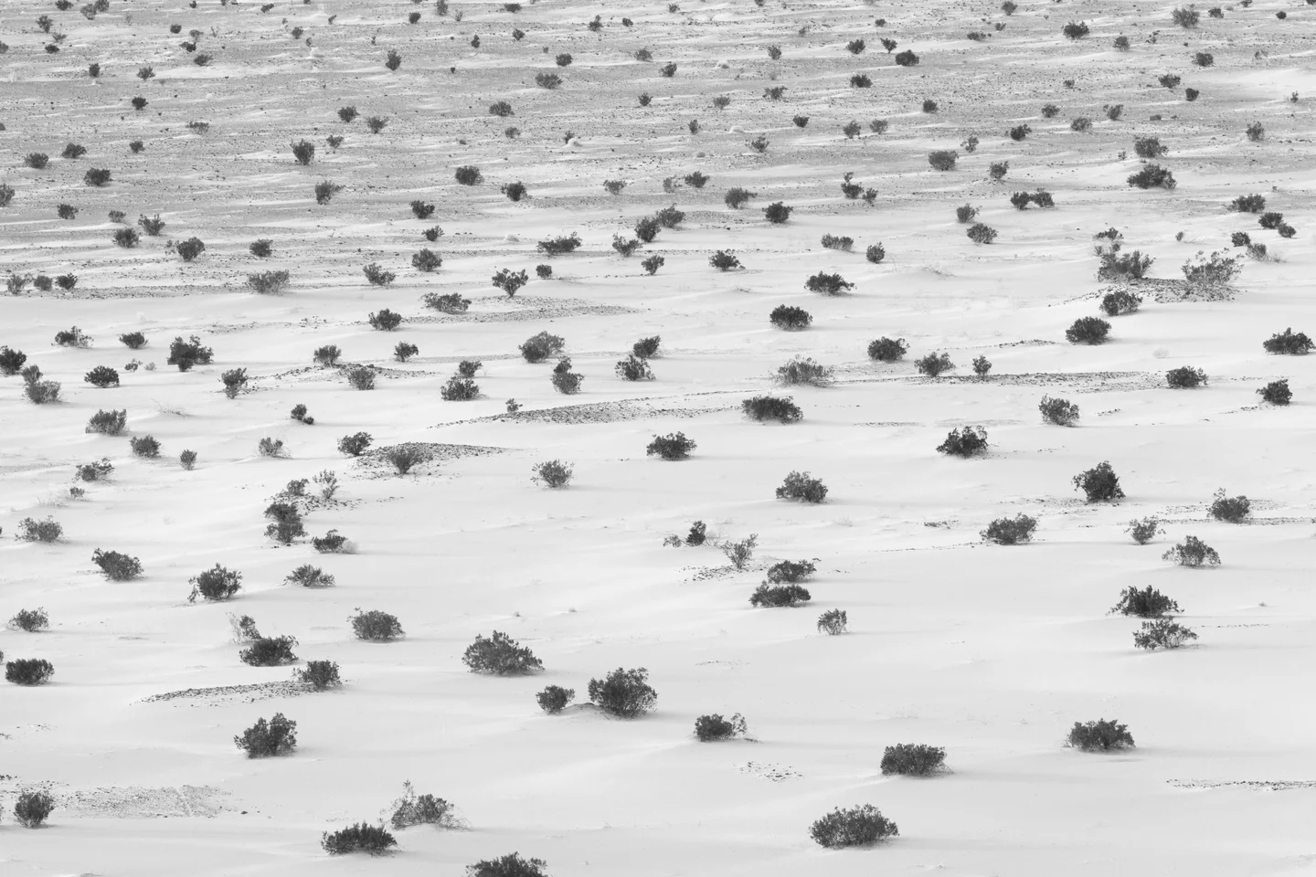 Death Valley Landscapes — Plate 06