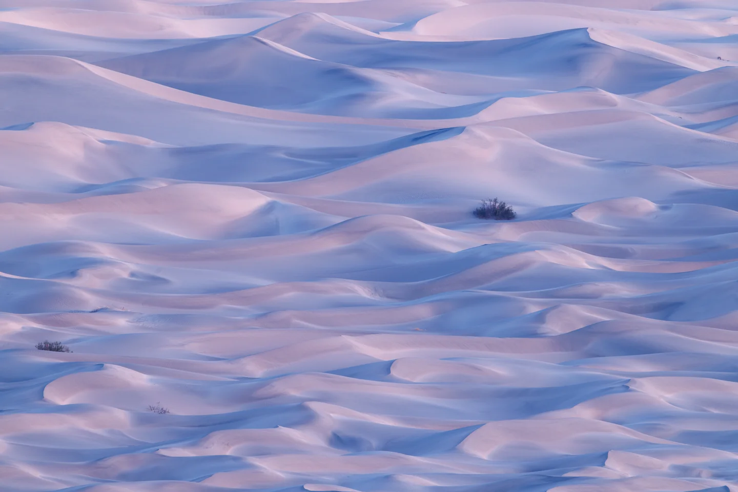 Death Valley Landscapes — Plate 04