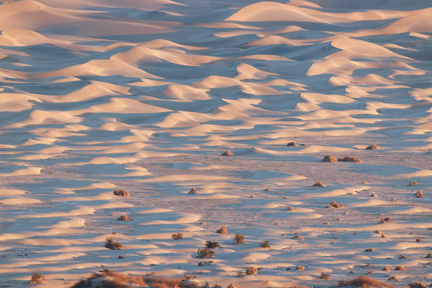 Death Valley Landscapes — Plate 03