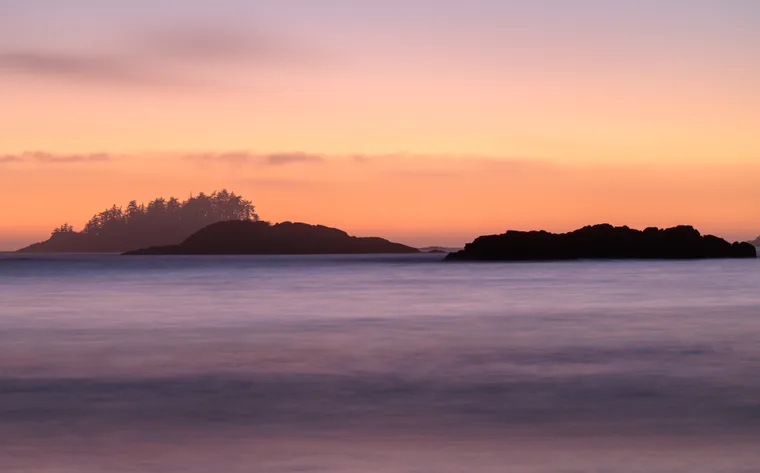 Dreamy Tofino preview