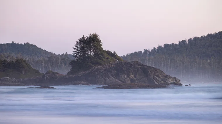 Dreamy Tofino preview