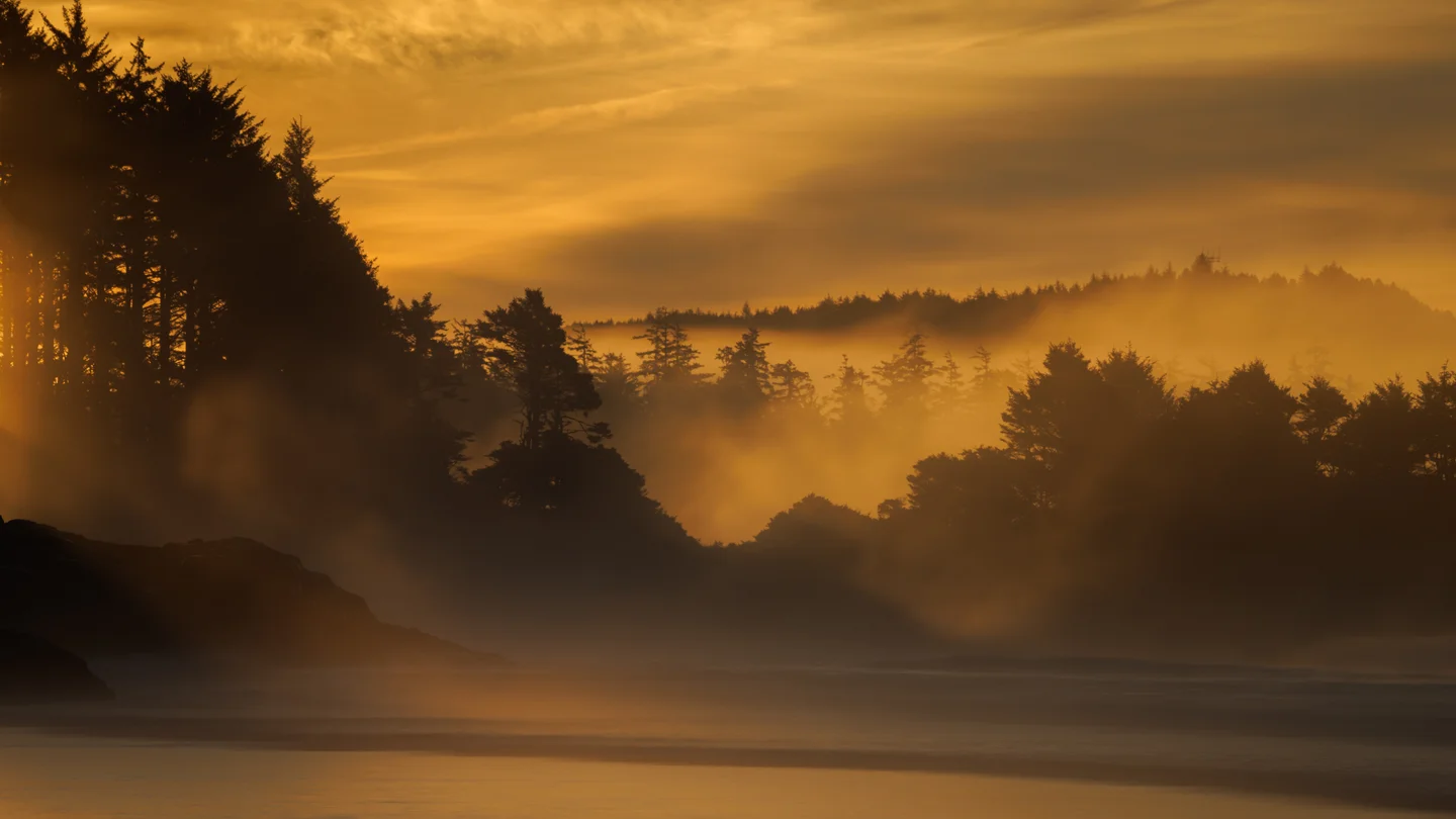 Dreamy Tofino — Plate 17