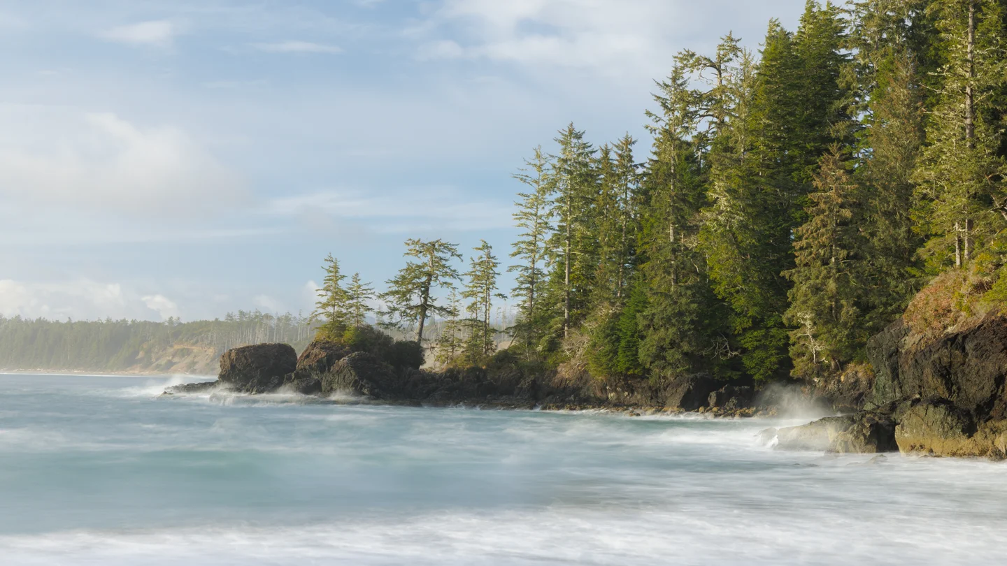 Dreamy Tofino — Plate 11