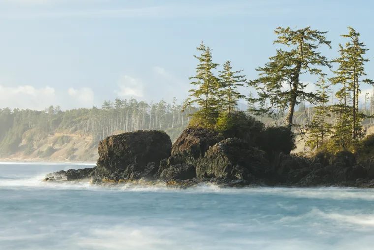 Dreamy Tofino