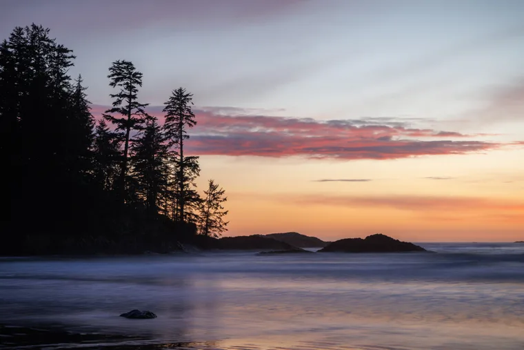 Dreamy Tofino preview