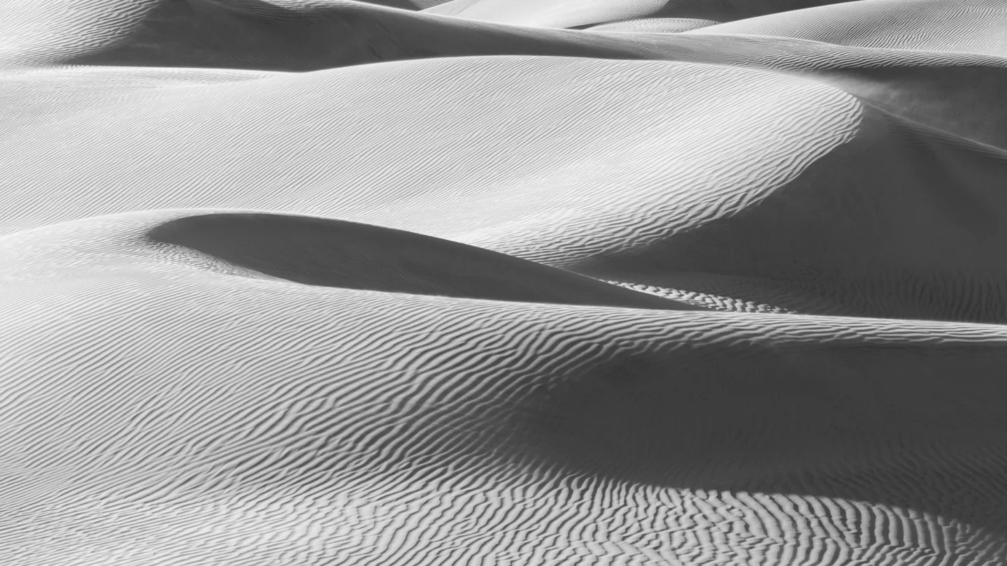 Dune Abstracts — Plate 24