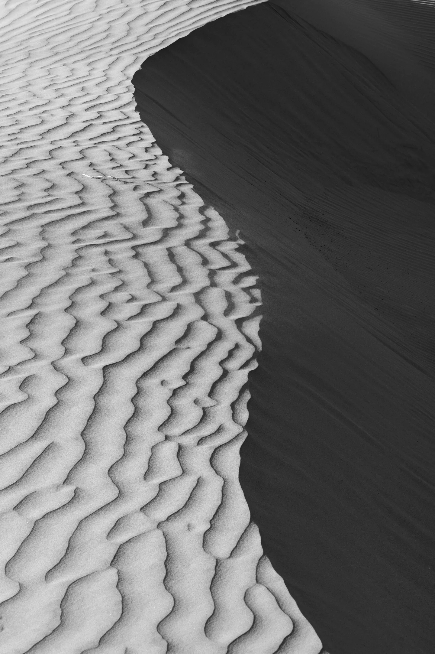 Dune Abstracts — Plate 23