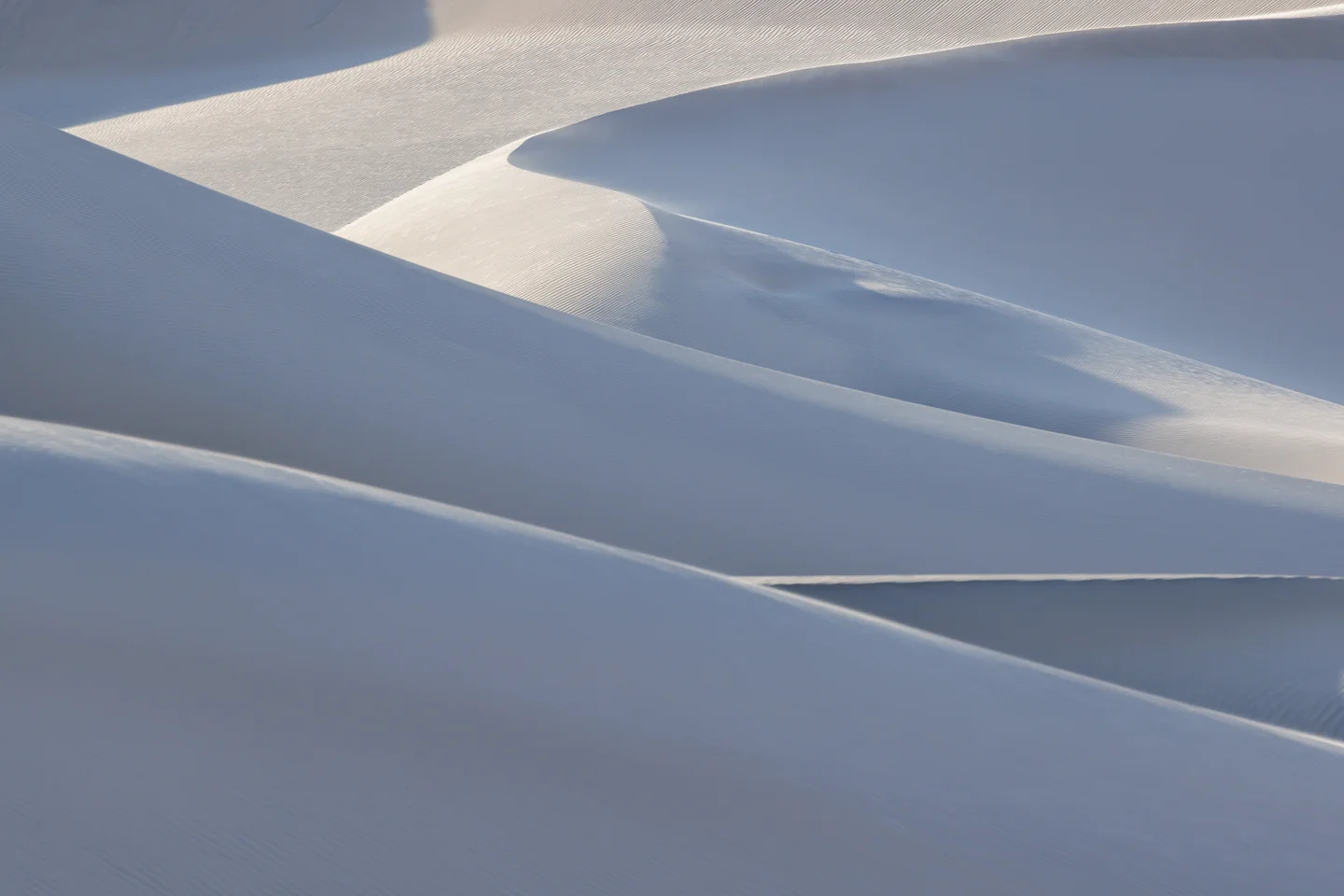 Dune Abstracts — Plate 22