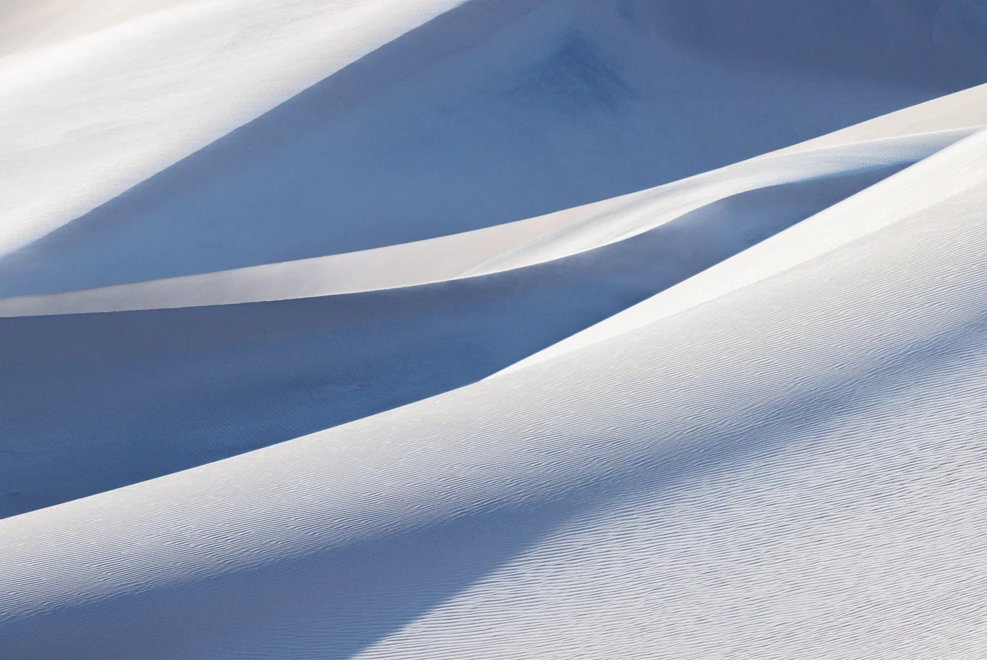 Dune Abstracts — Plate 21