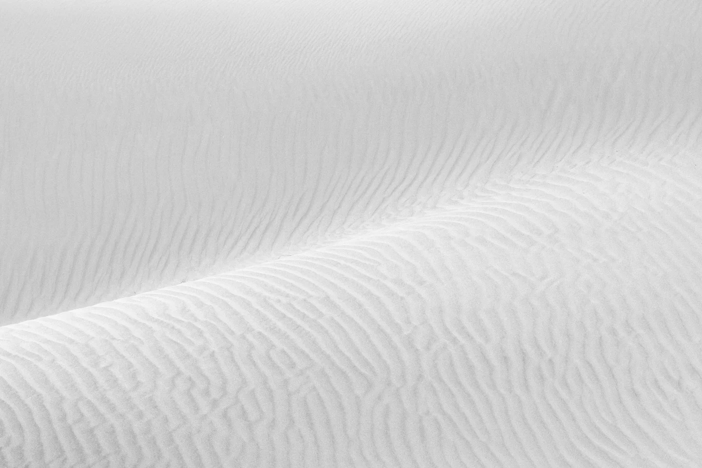 Dune Abstracts — Plate 20