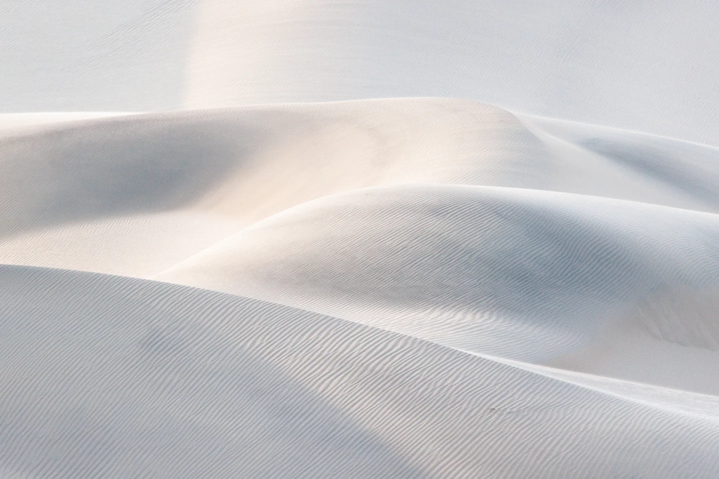 Dune Abstracts — Plate 18