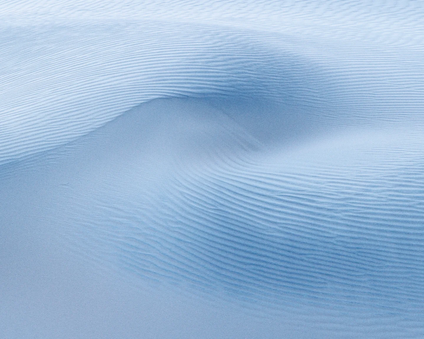 Dune Abstracts — Plate 17
