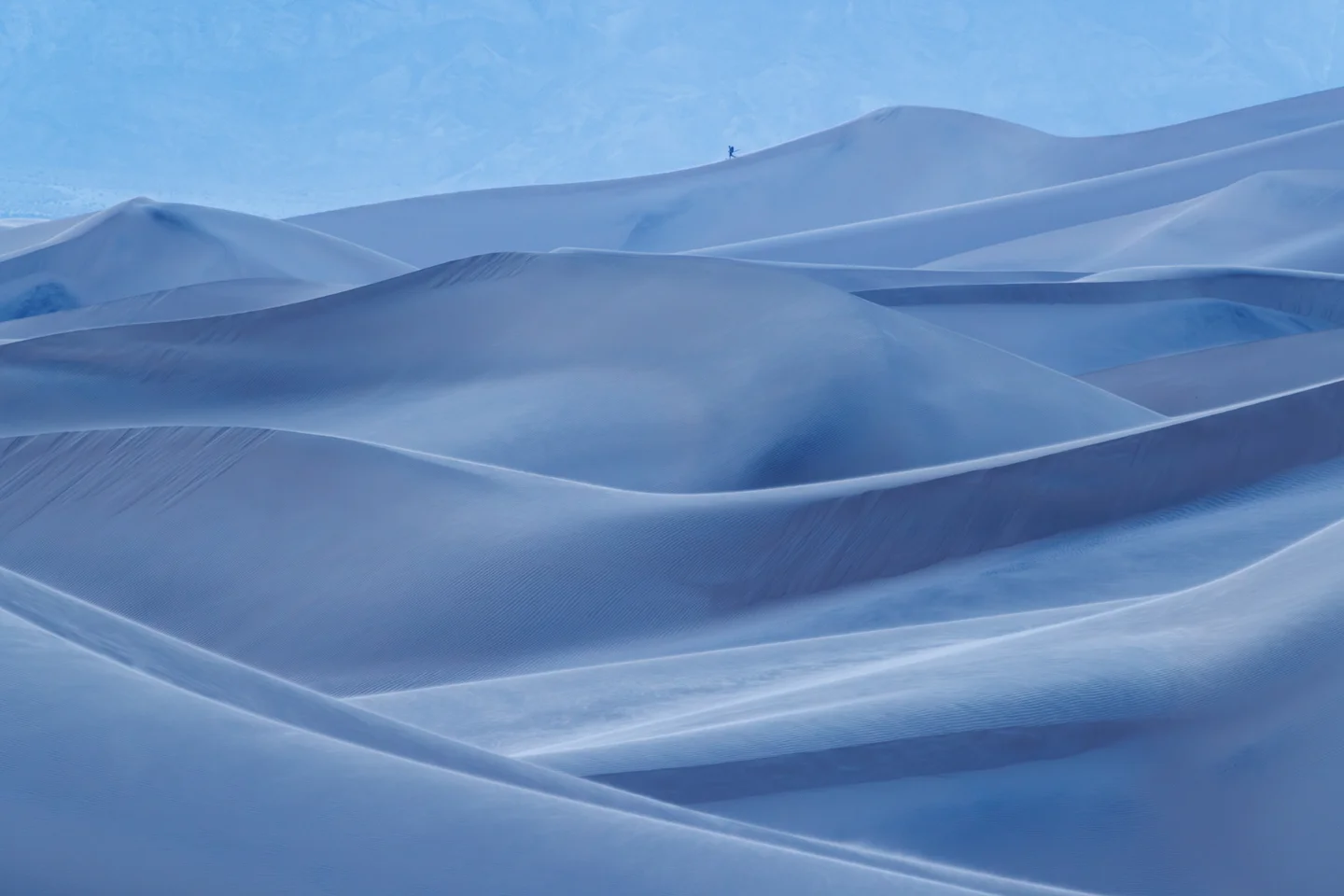 Dune Abstracts — Plate 15