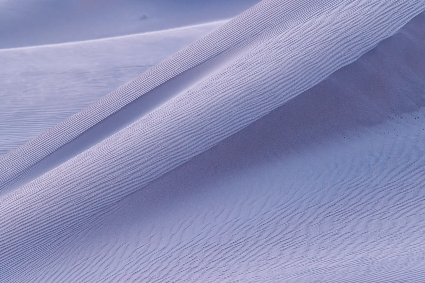 Dune Abstracts — Plate 14