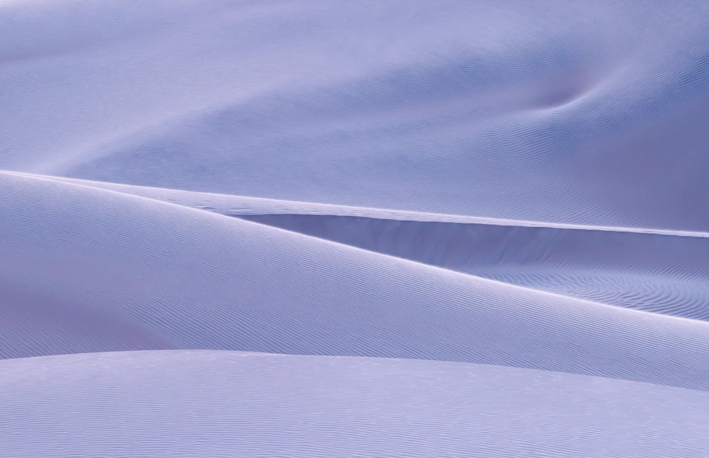 Dune Abstracts — Plate 13