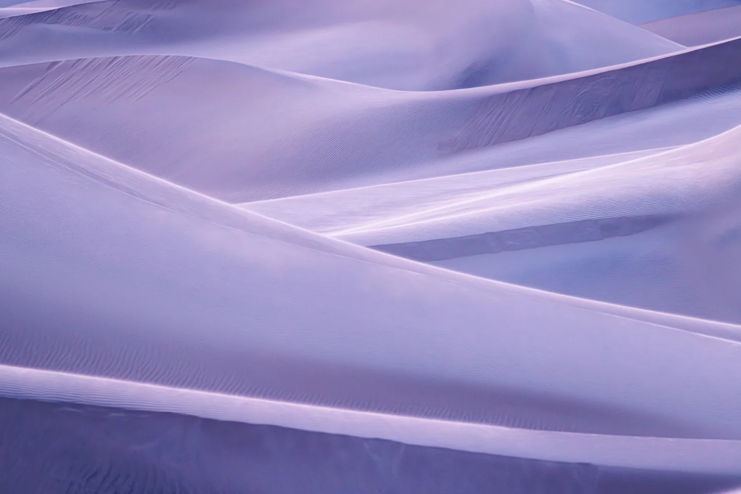 Dune Abstracts — Plate 12