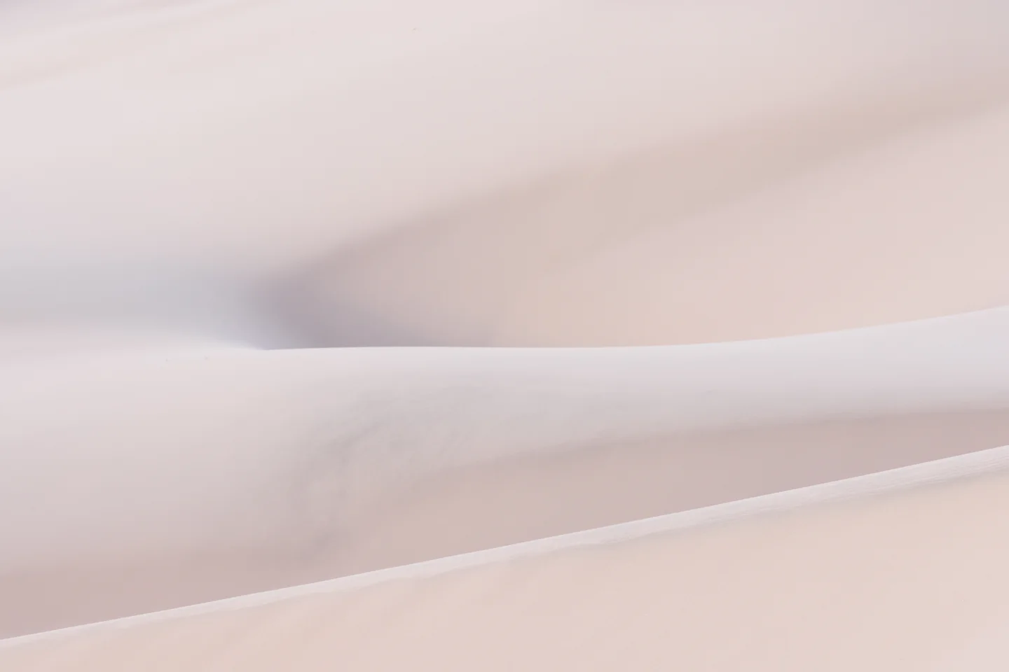 Dune Abstracts — Plate 11