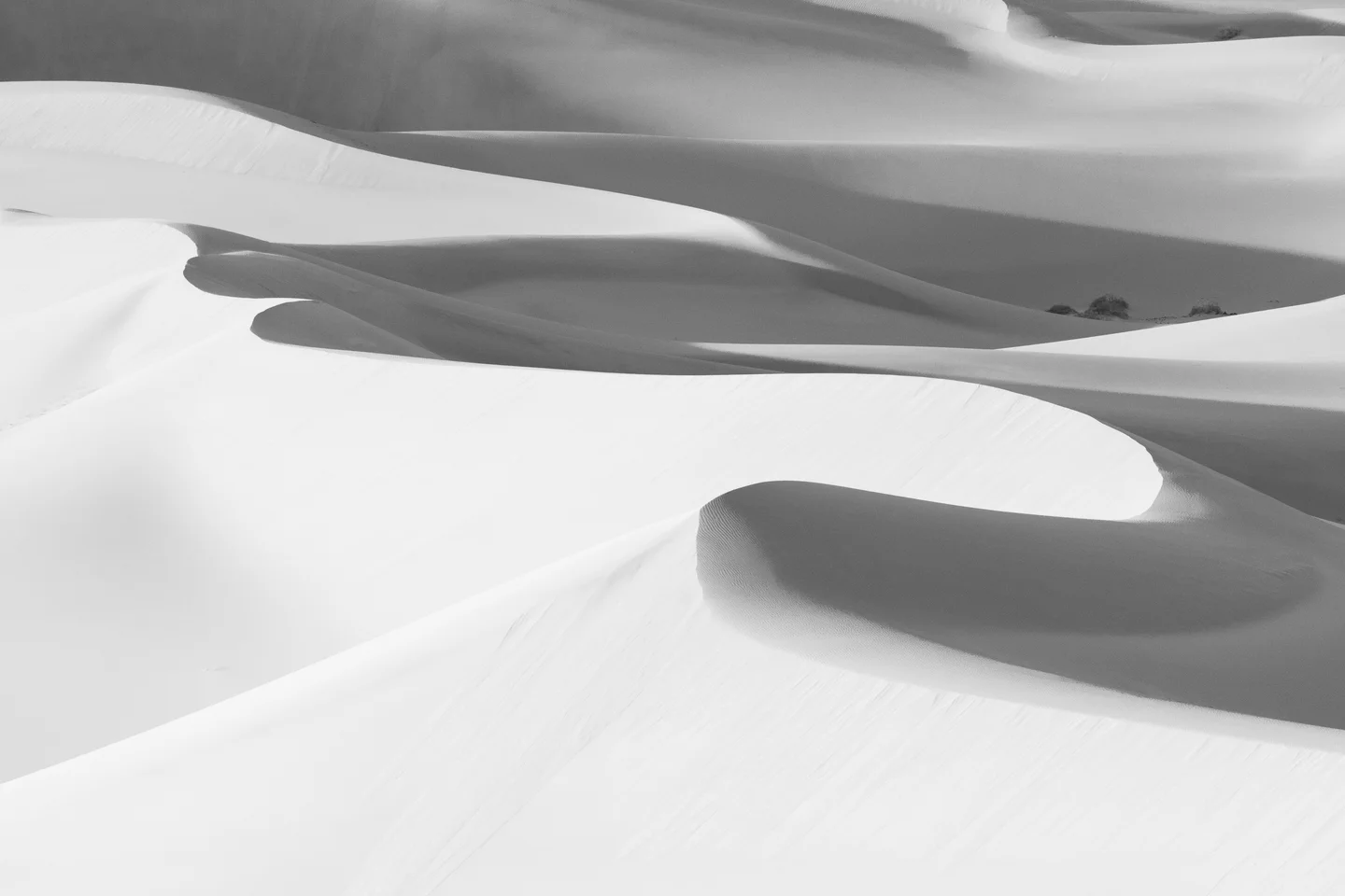 Dune Abstracts — Plate 09