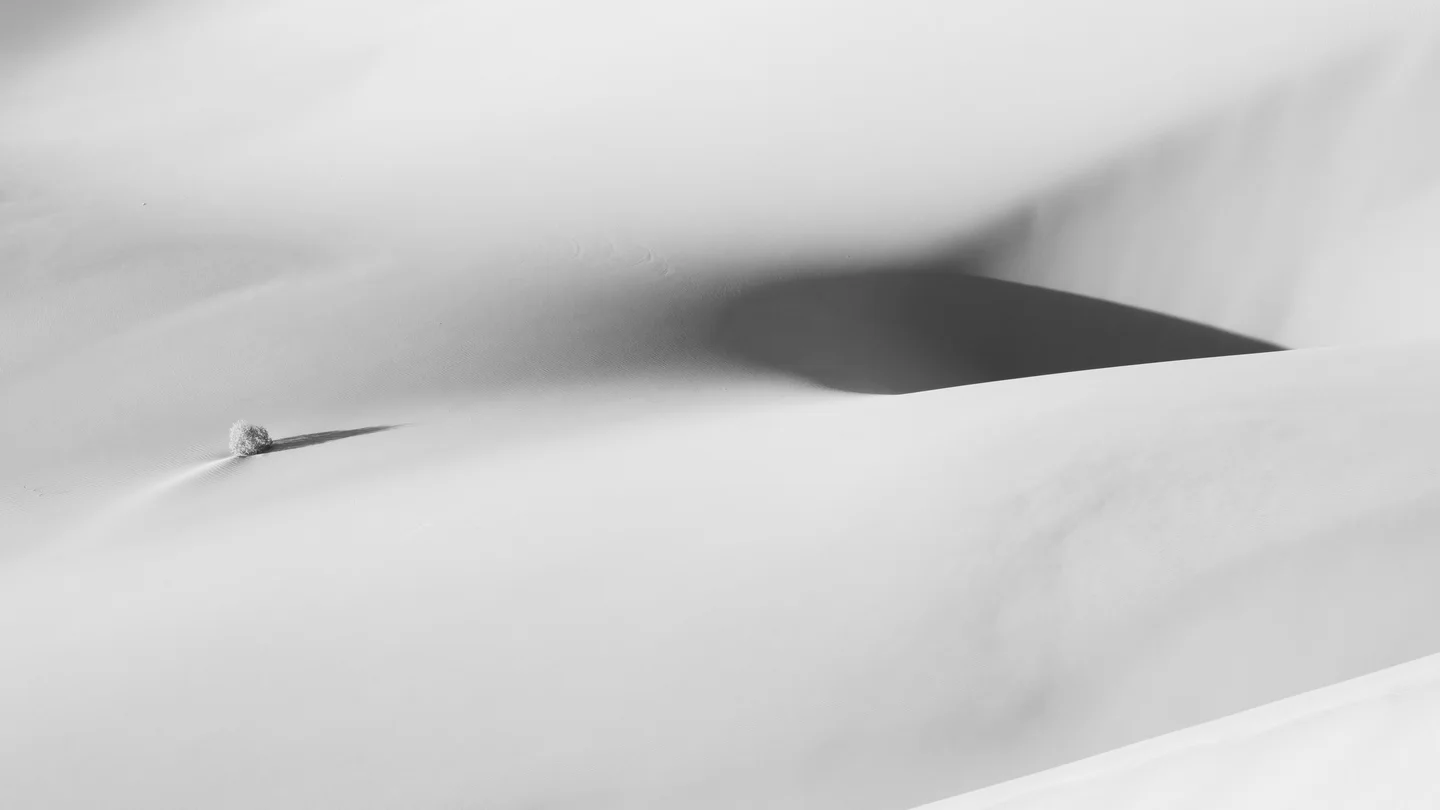 Dune Abstracts — Plate 08