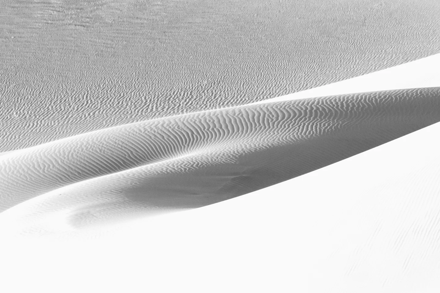 Dune Abstracts — Plate 07