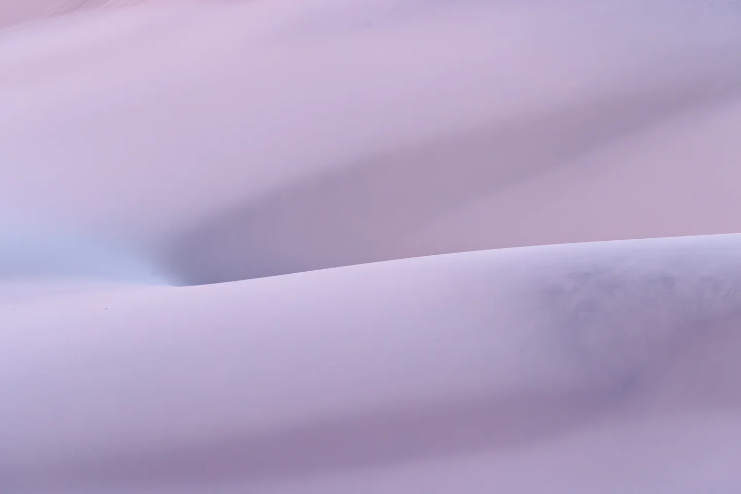 Dune Abstracts — Plate 04