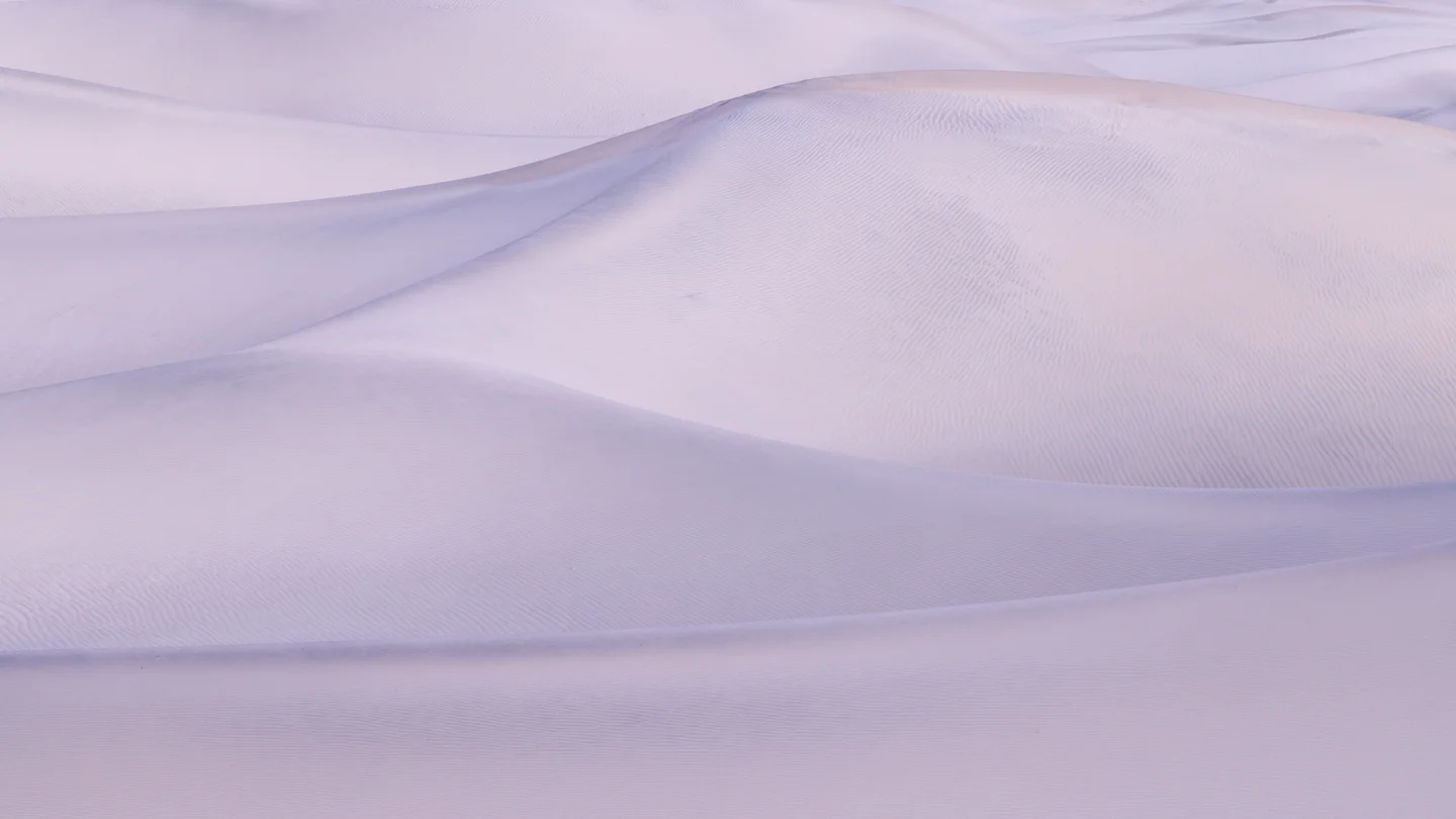 Dune Abstracts — Plate 01